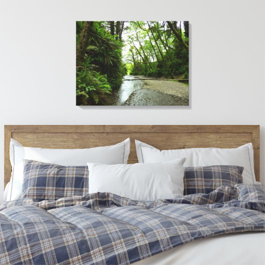 Fern Canyon II in Redwood National Park Canvas Afdruk (Insitu (Slaapkamer))