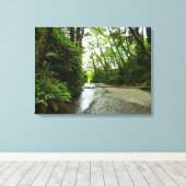 Fern Canyon II in Redwood National Park Canvas Afdruk (Insitu (Houten vloer))