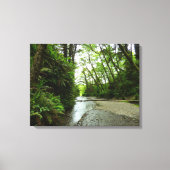Fern Canyon II in Redwood National Park Canvas Afdruk (Voorkant)