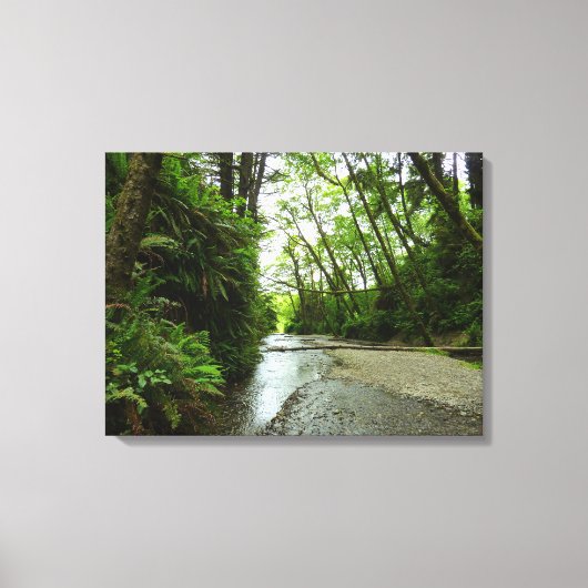 Fern Canyon II in Redwood National Park Canvas Afdruk (Voorkant)