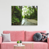 Fern Canyon II in Redwood National Park Canvas Afdruk (Insitu (Woonkamer))
