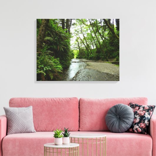 Fern Canyon II in Redwood National Park Canvas Afdruk (Insitu (Woonkamer))
