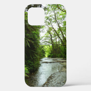 Fern Canyon II in Redwood National Park Case-Mate iPhone Case
