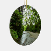 Fern Canyon II in Redwood National Park Keramisch Ornament (Rechts)