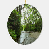 Fern Canyon II in Redwood National Park Keramisch Ornament (Links)