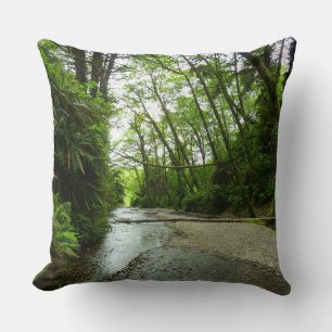 Fern Canyon II in Redwood National Park Kussen
