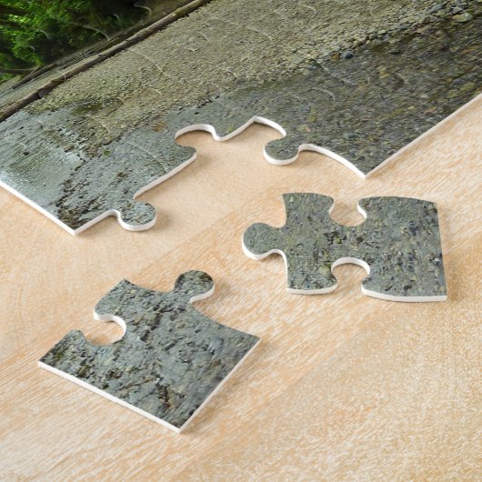 Fern Canyon II in Redwood National Park Legpuzzel (Zijkant)