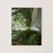 Fern Canyon II in Redwood National Park Legpuzzel (Verticaal)