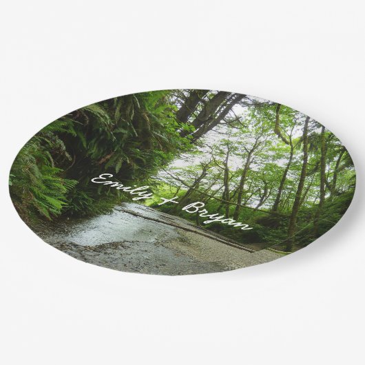 Fern Canyon II in Redwood National Park Papieren Bordje (Gekanteld)