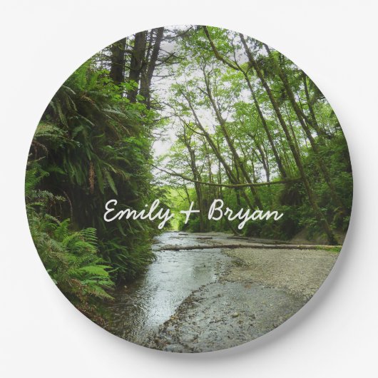 Fern Canyon II in Redwood National Park Papieren Bordje (Voorkant)