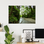 Fern Canyon II in Redwood National Park Poster (Thuiskantoor)