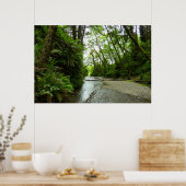 Fern Canyon II in Redwood National Park Poster (Keuken)