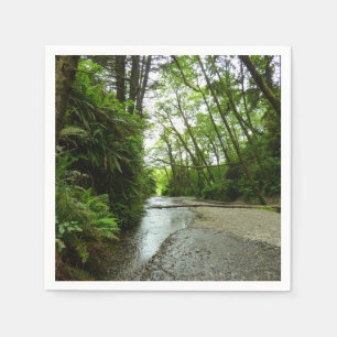 Fern Canyon II in Redwood National Park Servet