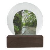 Fern Canyon II in Redwood National Park Sneeuwbol (Achterkant)