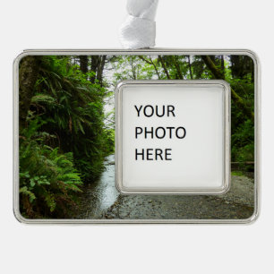 Fern Canyon II in Redwood National Park Verzilverd Omlijst Ornament