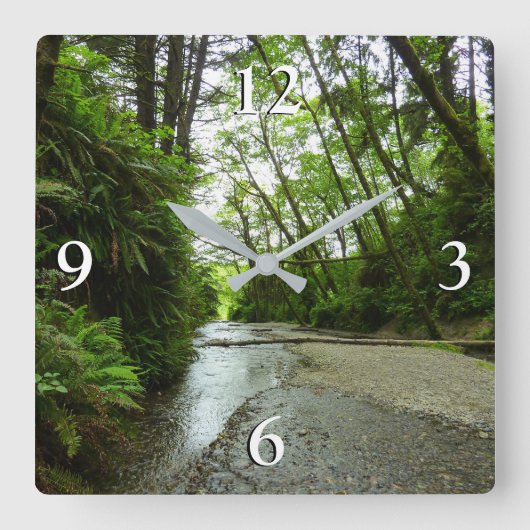 Fern Canyon II in Redwood National Park Vierkante Klok (Voorkant)