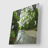 Fern Canyon II in Redwood National Park Vierkante Klok (Hoek)