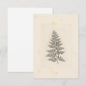  Fern Correspondence Woodland Forest Natuur Notitiekaartje (Voorkant / Achterkant)