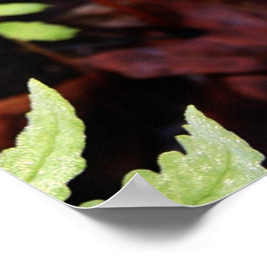 Fern door StoneWall Poster (Hoek)