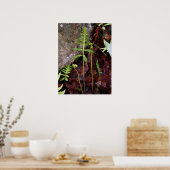 Fern door StoneWall Poster (Keuken)