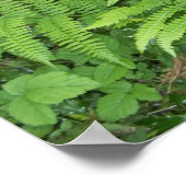 Fern en Holly poster (Hoek)