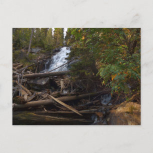Fern Falls in Rocky Mountain National Park Briefkaart
