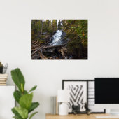 Fern Falls in Rocky Mountain National Park Poster (Thuiskantoor)
