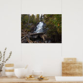 Fern Falls in Rocky Mountain National Park Poster (Keuken)