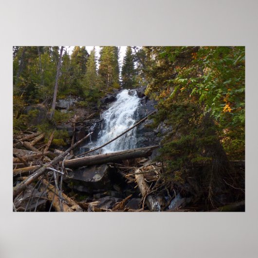 Fern Falls in Rocky Mountain National Park Poster (Voorkant)
