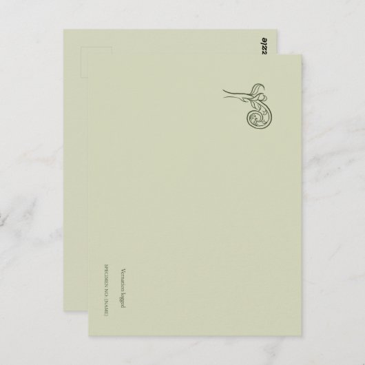 Fern Fiddlehead- Botanists Pause- Minimal Briefkaart (Voorkant / Achterkant)