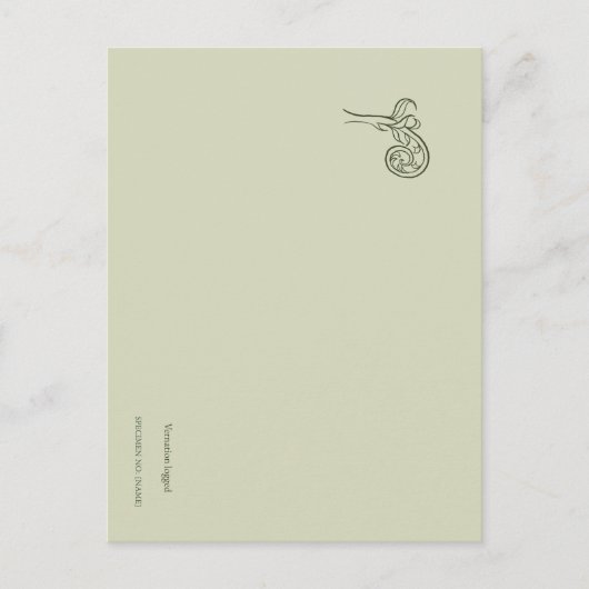 Fern Fiddlehead- Botanists Pause- Minimal Briefkaart (Voorkant)