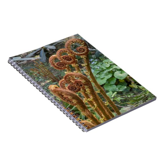 Fern Fiddleheads Botanisch Notitieboek (Rechterzijde)