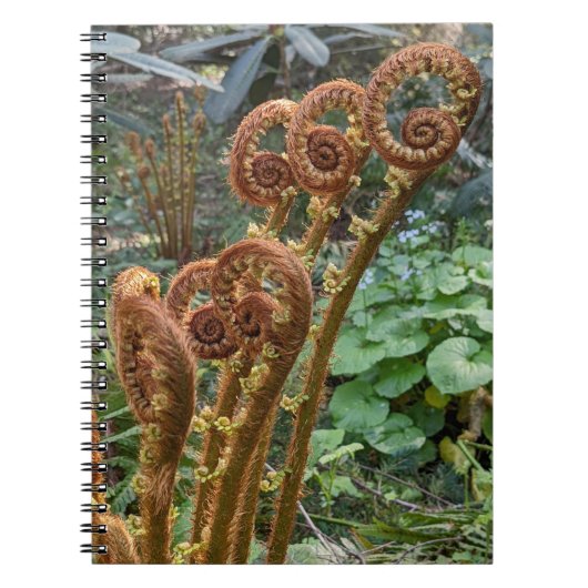 Fern Fiddleheads Botanisch Notitieboek (Voorkant)