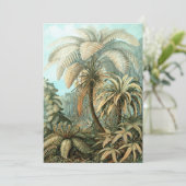 Fern (Filicinae) van Haeckel Kaart (Staand voorkant)