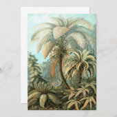 Fern (Filicinae) van Haeckel Kaart (Voorkant / Achterkant)