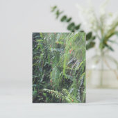 Fern Filling Grotto Briefkaart (Staand voorkant)