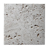 Fern Fossil Tile Surface Closeup Tegeltje (Voorkant)