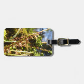 Fern Frond Bagagelabel (Voorkant horizontaal)