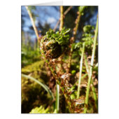 Fern Frond Blank Note Card (Voorkant)