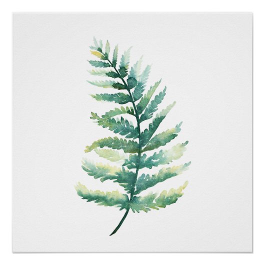 Fern Frond Botanische Waterverf Poster (Voorkant)