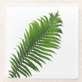 Fern frond glazen onderzetter