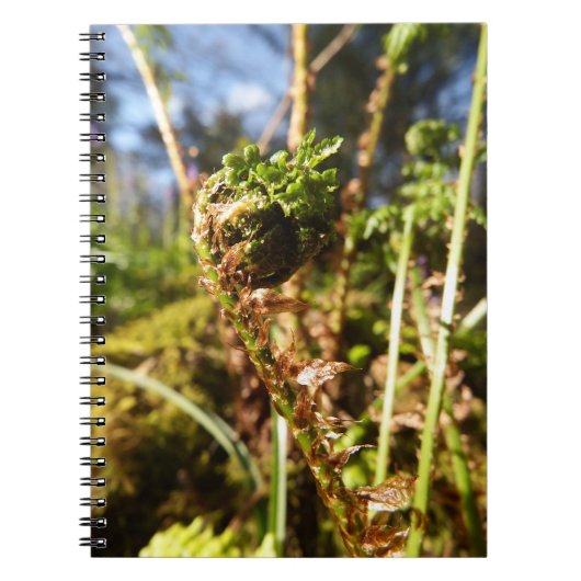 Fern Frond-laptop Notitieboek (Voorkant)
