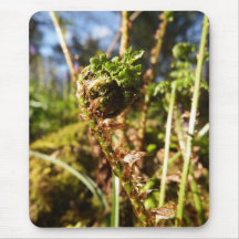 Fern Frond Mousepad