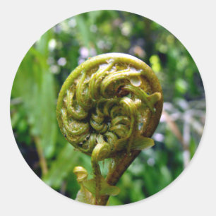 Fern Frond Ronde Sticker