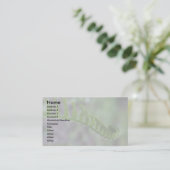 Fern Frond Visitekaartjes (Staand voorkant)