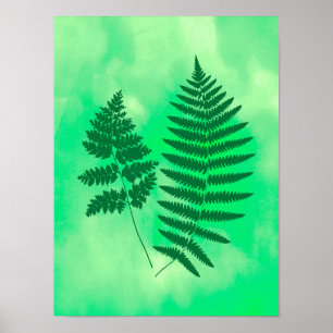 Fern Fronds, Groen op Waterverf achtergrond Poster