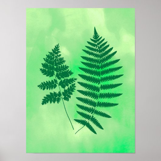 Fern Fronds, Groen op Waterverf achtergrond Poster (Voorkant)