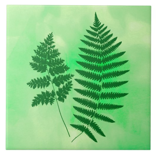 Fern Fronds, Groen op Waterverf achtergrond Tegeltje (Voorkant)