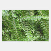 Fern Fronds I Green Nature Inpakpapier Vel (Voorkant)