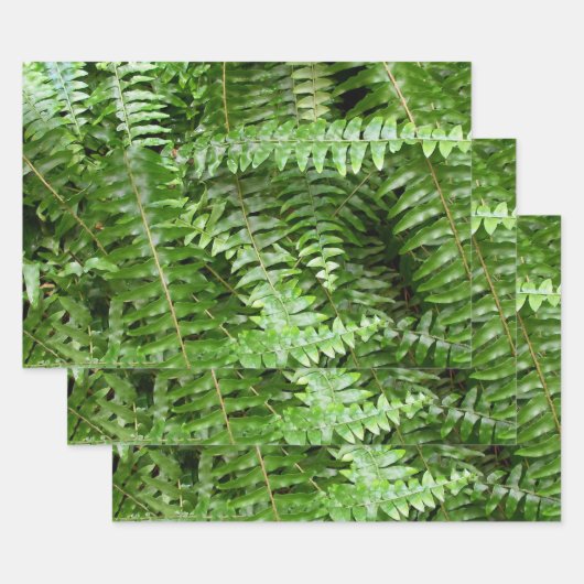 Fern Fronds I Green Nature Inpakpapier Vel (Set)